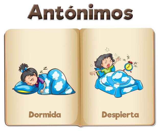 Dormida y Despierta Tarjeta de palabras en español en ilustración vectorial