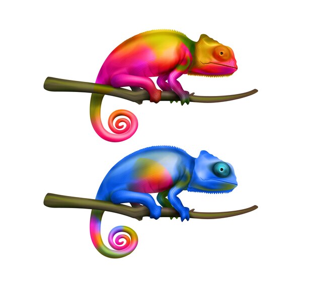 Dos lagartos camaleón de colores brillantes sentados en las ramas de los árboles