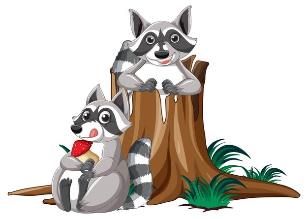 Dos mapaches por el registro