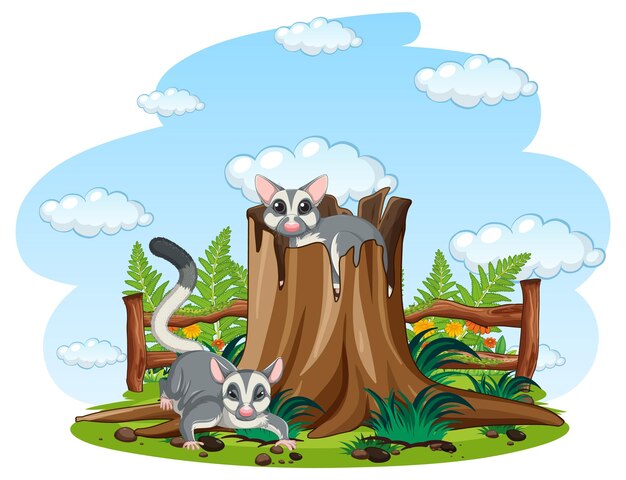 Dos planeadores de azúcar en el jardín.