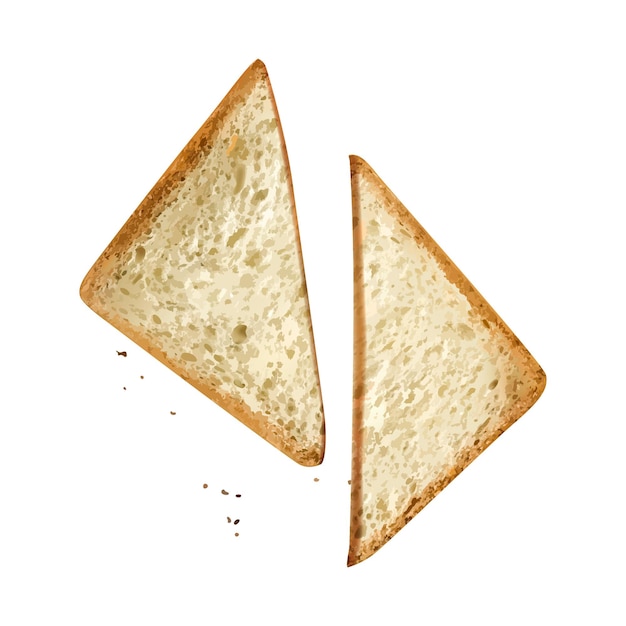 Dos rebanadas triangulares realistas de pan de trigo para sándwiches ilustraciones vectoriales aisladas