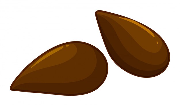 Dos semillas de manzana