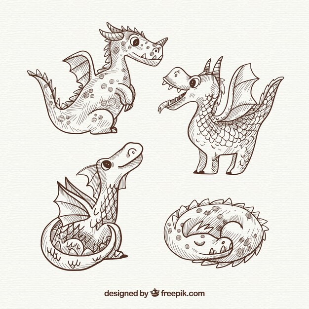 Dragones dibujados a mano con estilo adorable