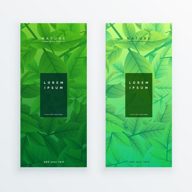 Eco verde deja conjunto de banner