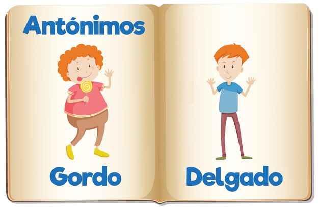 Educación Antónimos Gordo y Delgado en el idioma español gordo y delgado