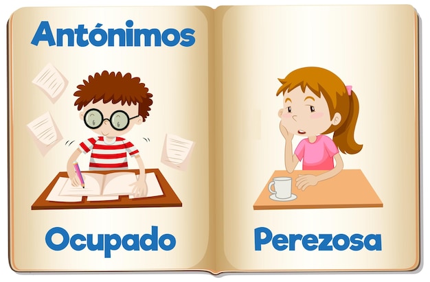 Educación antónimos ocupado y perezoso en español