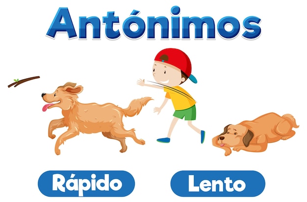 Educación del idioma español rápida y lenta