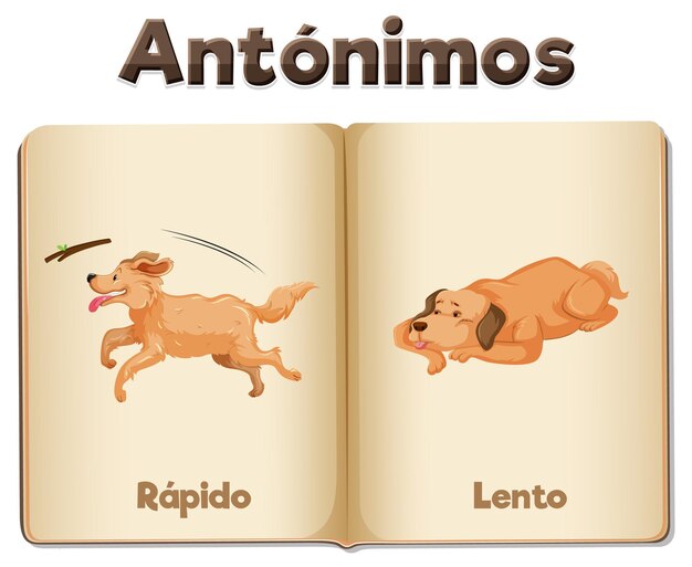 Educación en idioma español Rapido y Lento Rápido y Lento