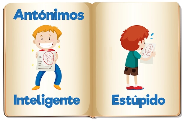 Educación del idioma español tarjetas de palabras inteligentes y estúpidas