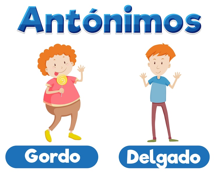 Vector gratuito educación de la lengua española gordo y delgado gordo y delgado