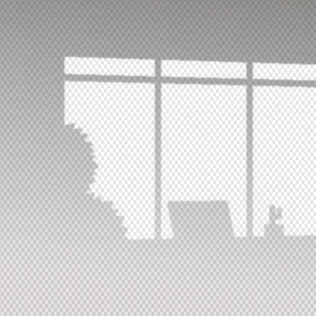 Efecto de superposición de sombras transparentes con plantas y computadora portátil