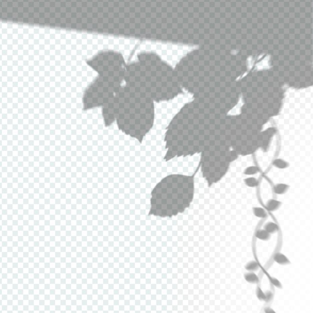 Efecto de superposición de sombras transparentes