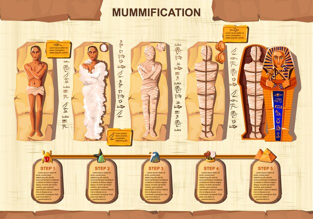 Ejemplo infographic del vector de la historieta de la creación de la momia