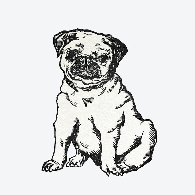 Ejemplo lindo del vintage de la etiqueta engomada del perro pug