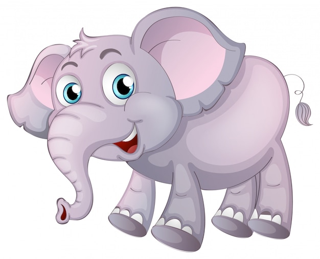 Vector gratuito elefante en blanco