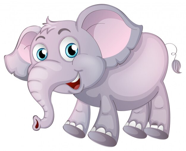 Elefante en blanco