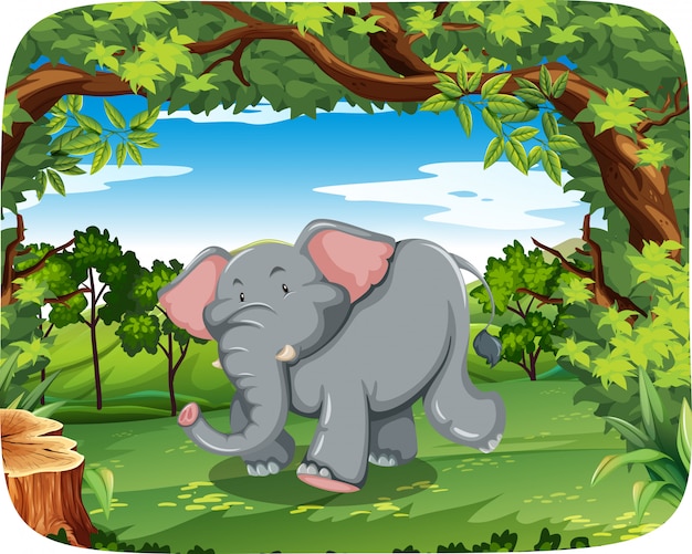 Vector gratuito elefante en la naturaleza