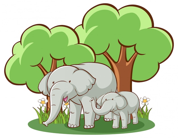 Elefantes sobre fondo blanco.