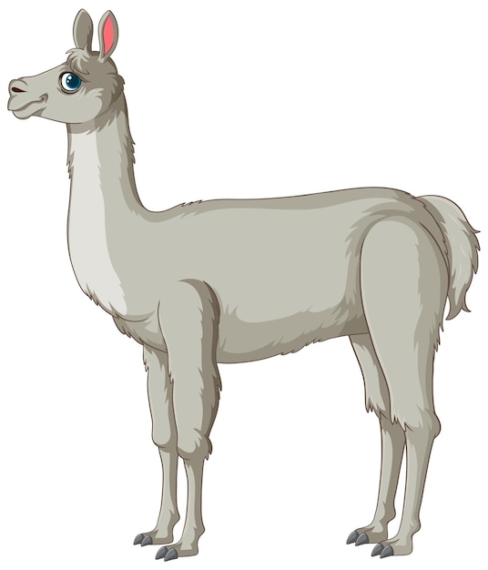 Elegante llama de pie vista lateral
