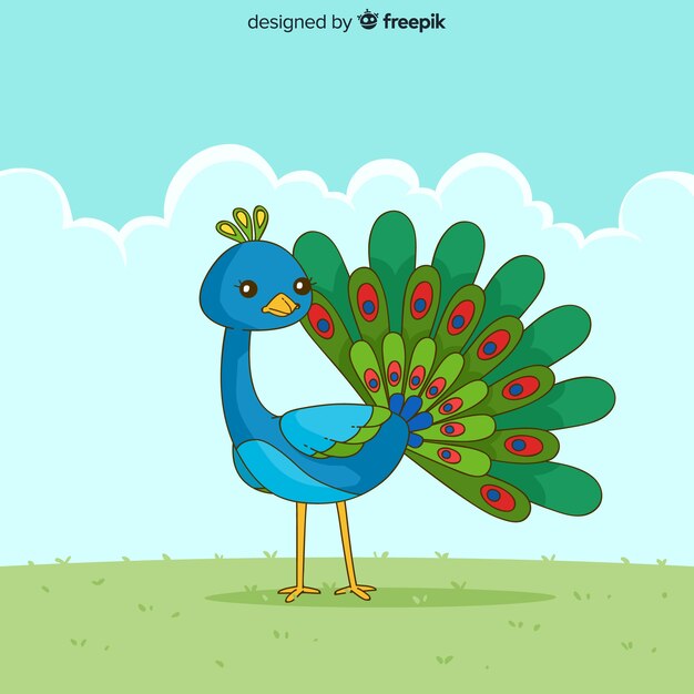 Elegante pavo real dibujado a mano