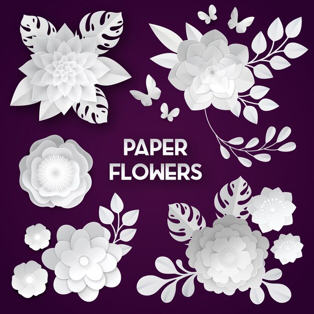Elegantes flores de papel blanco cortadas