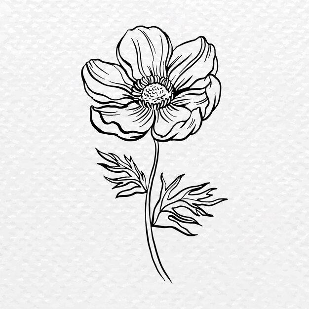 Elemento de collage de flor de anémona, vector clipart botánico negro