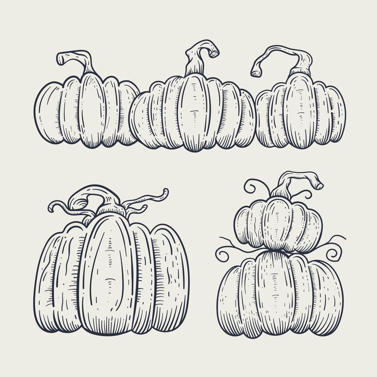 Vector gratuito elemento de dibujo de calabaza dibujado a mano