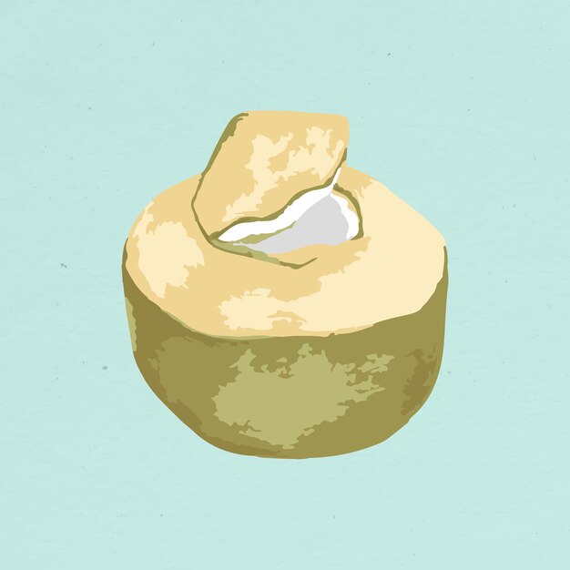 Elemento de diseño de fruta de coco vectorizado