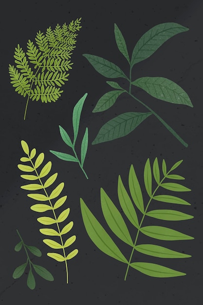 Elemento de diseño de hoja verde sobre un fondo gris