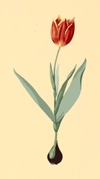 Elemento de diseño de superposición de pegatina de flor de tulipán vectorizado