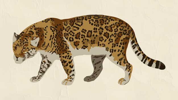 Elemento de diseño de superposición de pegatina de jaguar vectorizado