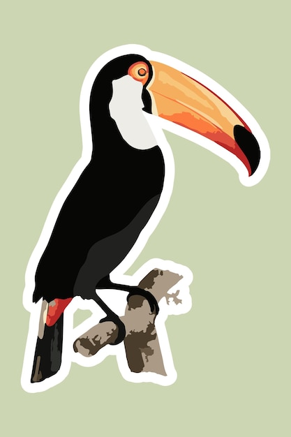 Elemento de diseño de superposición de pegatina de pájaro tucán vectorizado