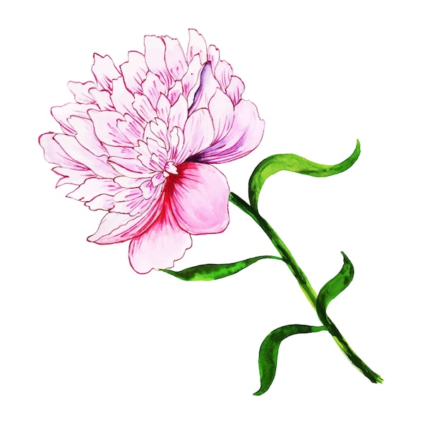 Vector gratuito elemento floral acuarela de primavera