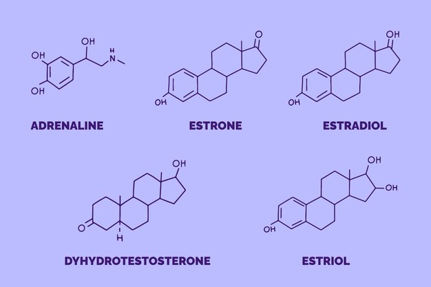 Elemento de hormonas dibujado a mano