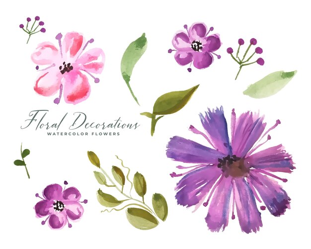 elemento de ramo de flores floridas pintadas a mano en la colección