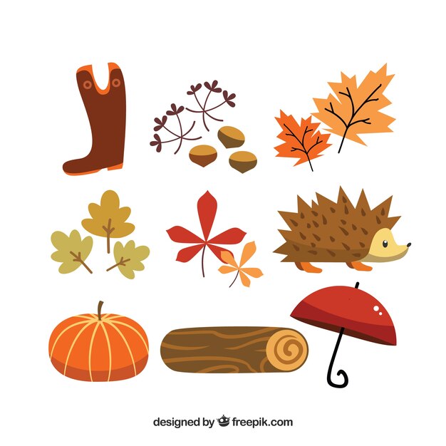 Elementos bonitos de otoño