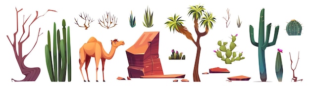 Vector gratuito elementos de creación del paisaje del desierto de arizona