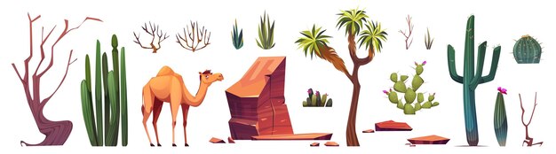 Elementos de creación del paisaje del desierto de Arizona
