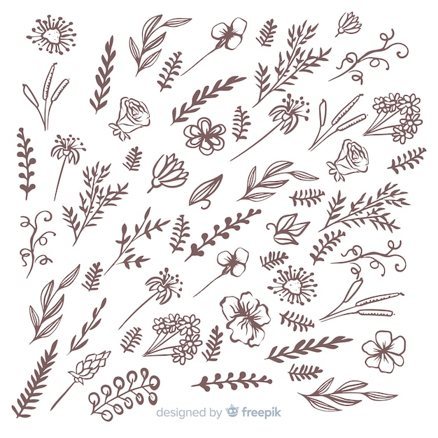 Elementos decorativos florales dibujado a mano