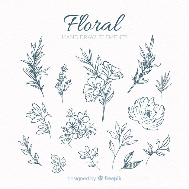 Elementos decorativos florales dibujados a mano