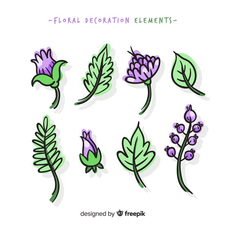Vector gratuito elementos decorativos florales dibujados