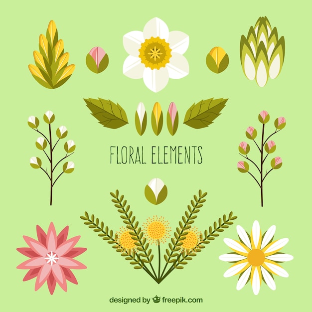 Elementos decorativos florales en diseño plano