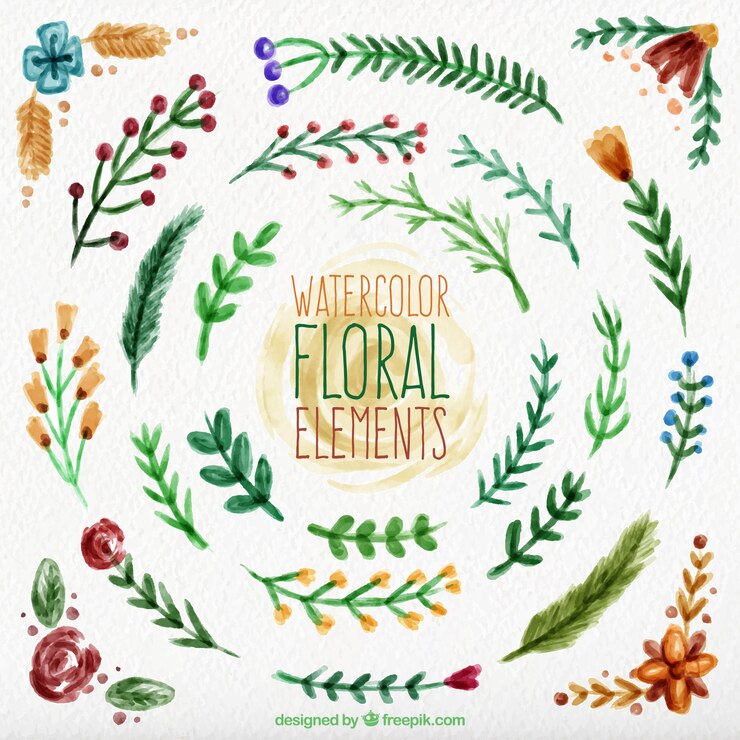 Vector gratuito elementos decorativos florales pintados con acuarela