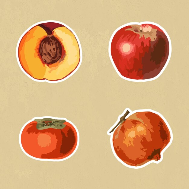 Elementos de diseño de la colección de pegatinas de frutas tropicales vectorizadas