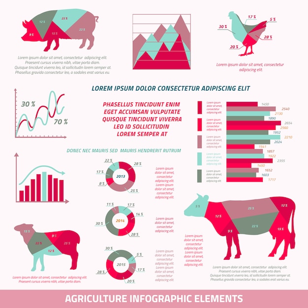 Elementos de diseño plano de infografías de agricultura de ganado vacuno pollo cerdo ovejas y gráfico ilustración vectorial