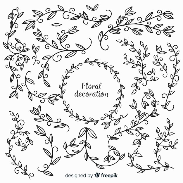 Elementos florales sin color dibujados a mano
