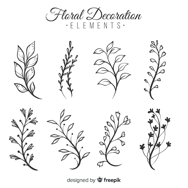 Elementos florales de decoración dibujados a mano
