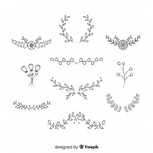 Elementos florales de decoración dibujados a mano
