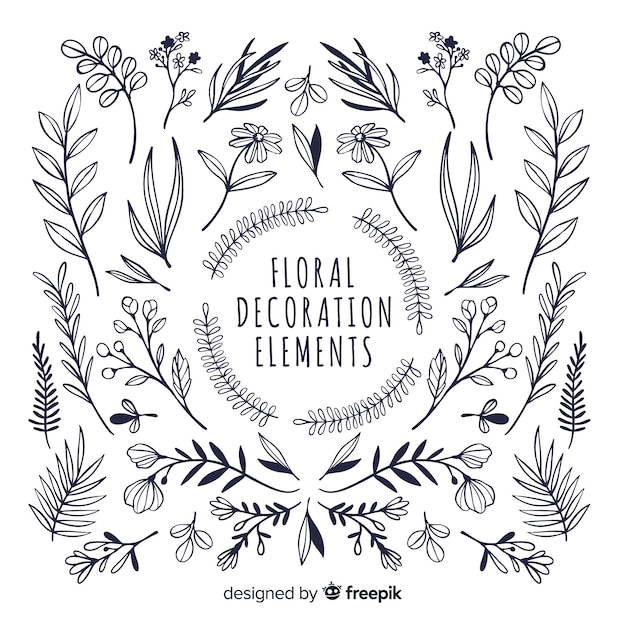 Elementos florales de decoración dibujados a mano