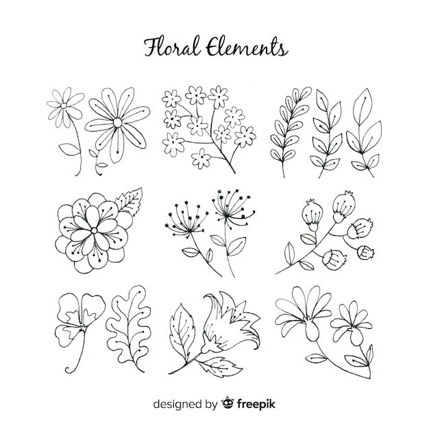 Elementos florales decorativos dibujados a mano